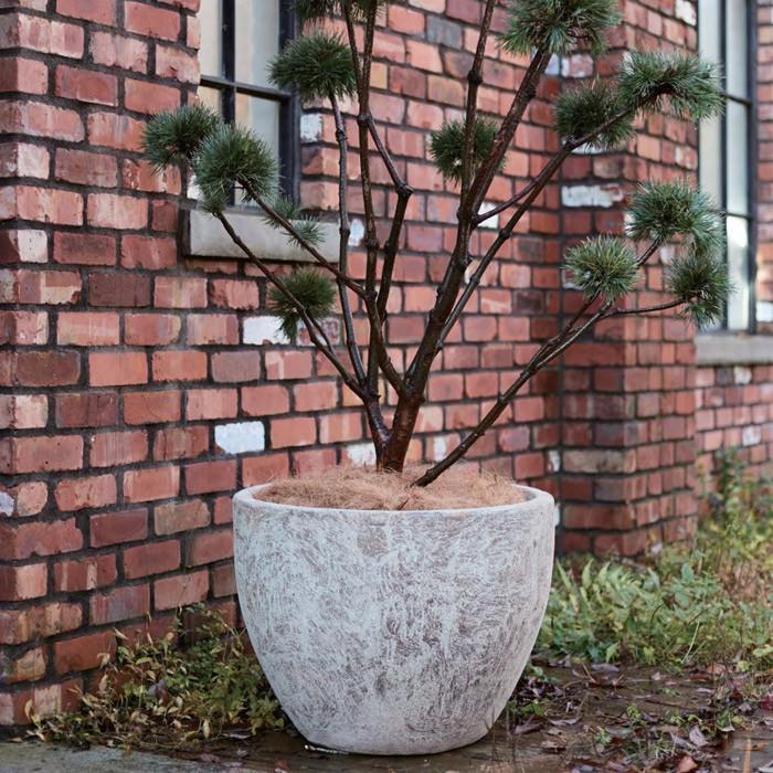 プランター 植木鉢 底穴あり ネブラ ラウンド Mサイズ 直径47cm ガーデニング 園芸用品の画像