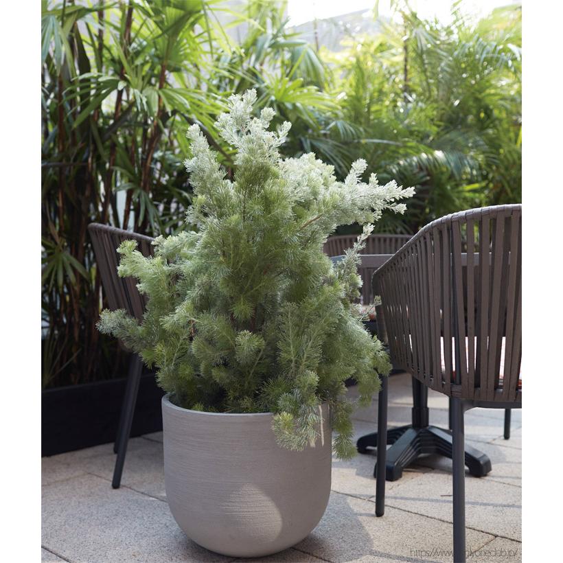 プランター 大型 植木鉢 円形 ファイバーポリレジン 鉢 おしゃれ