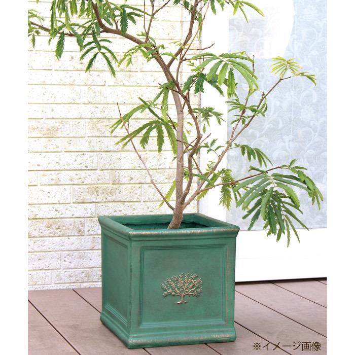 プランター 大型 植木鉢 おしゃれ 鉢植え 四角 スクエアポット