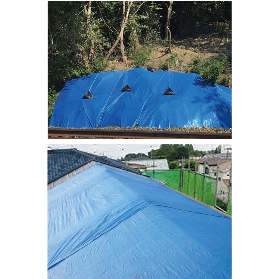 激安単価で ブルーシート 厚手 10 10m 3000 2枚単位 レジャー シート 敷物 ござ 災害 台風 防災 養生 対策 運動会 行楽 花見 海水浴 キャンプ 注目ブランド Talentoindustrial Com