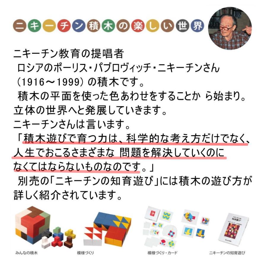 みんなの積木 ニキーチン 積み木 【オリジナル問題図付き】 木の