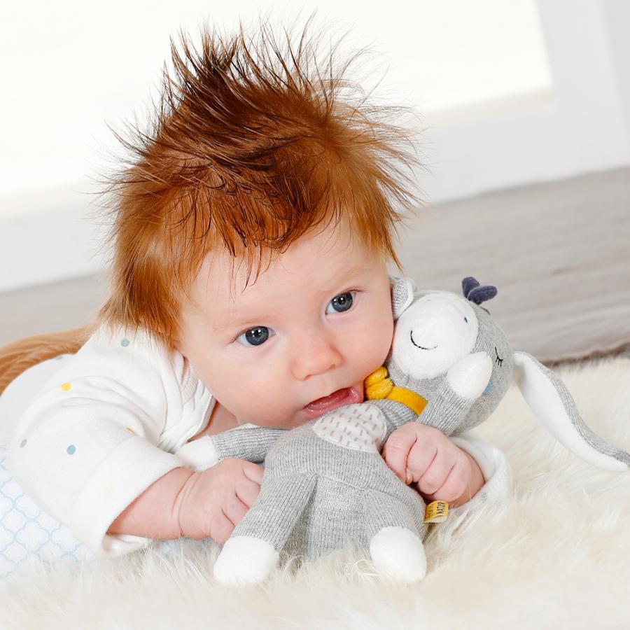 オーガニックドール・ドンキー FE52077 布製 ベビー 赤ちゃん 布のおもちゃ 玩具 知育 出産祝 誕生日 プレゼント |  | 03