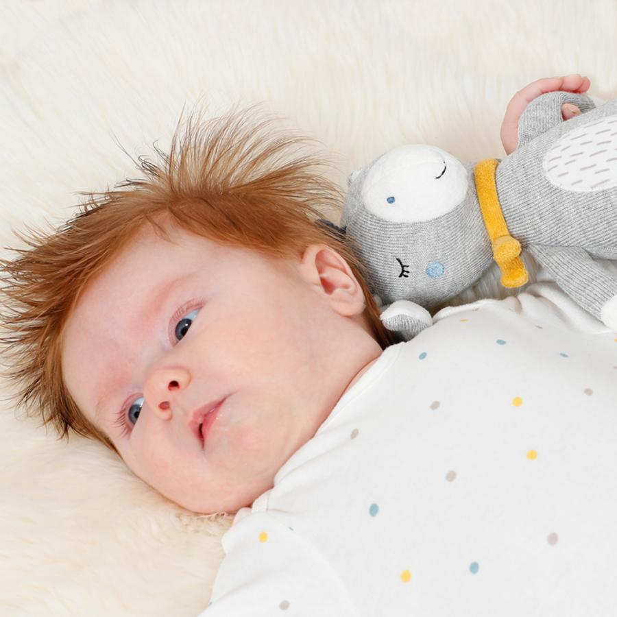 オーガニックドール・ドンキー FE52077 布製 ベビー 赤ちゃん 布のおもちゃ 玩具 知育 出産祝 誕生日 プレゼント |  | 05