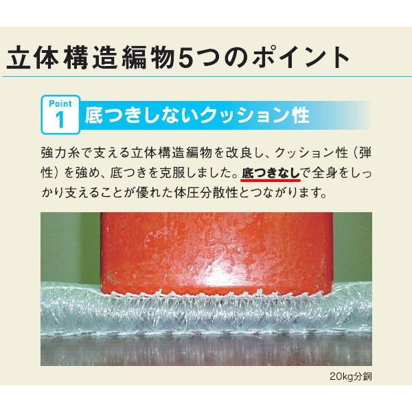 ファインエアーポータブル 約70×200cm 【プレミアムエアー】高反発