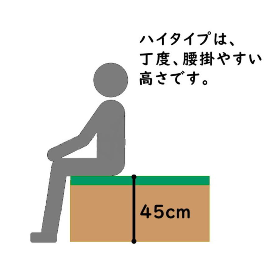 PP樹脂畳ユニット ハイタイプ 幅180×奥行60×高さ45cm 小上がり 高床式 収納 ユニット 畳 ベンチ ベッド ボックス スツール 掘りごたつ 国産 日本製 |  | 02