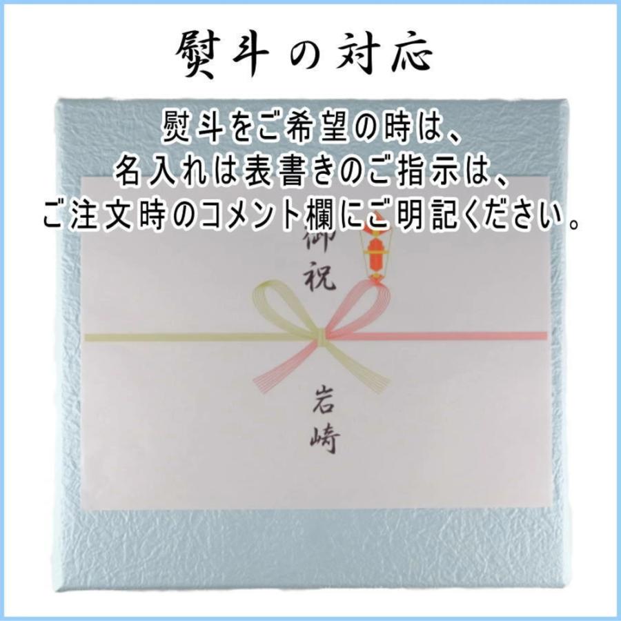 プーカのいえ Puca プーカ こいのぼり 鯉のぼり 室内鯉のぼり プーカのいえ Puca プーカ こいのぼり 鯉のぼり 室内鯉のぼり