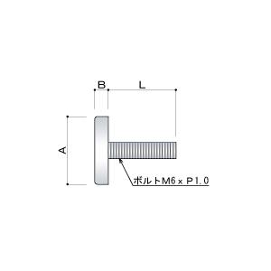 化粧ビス M6 13mm ボルト長 15mm 真鍮製 フラットタイプ EPS-E13F-15 クローム｜e-kanamono｜02