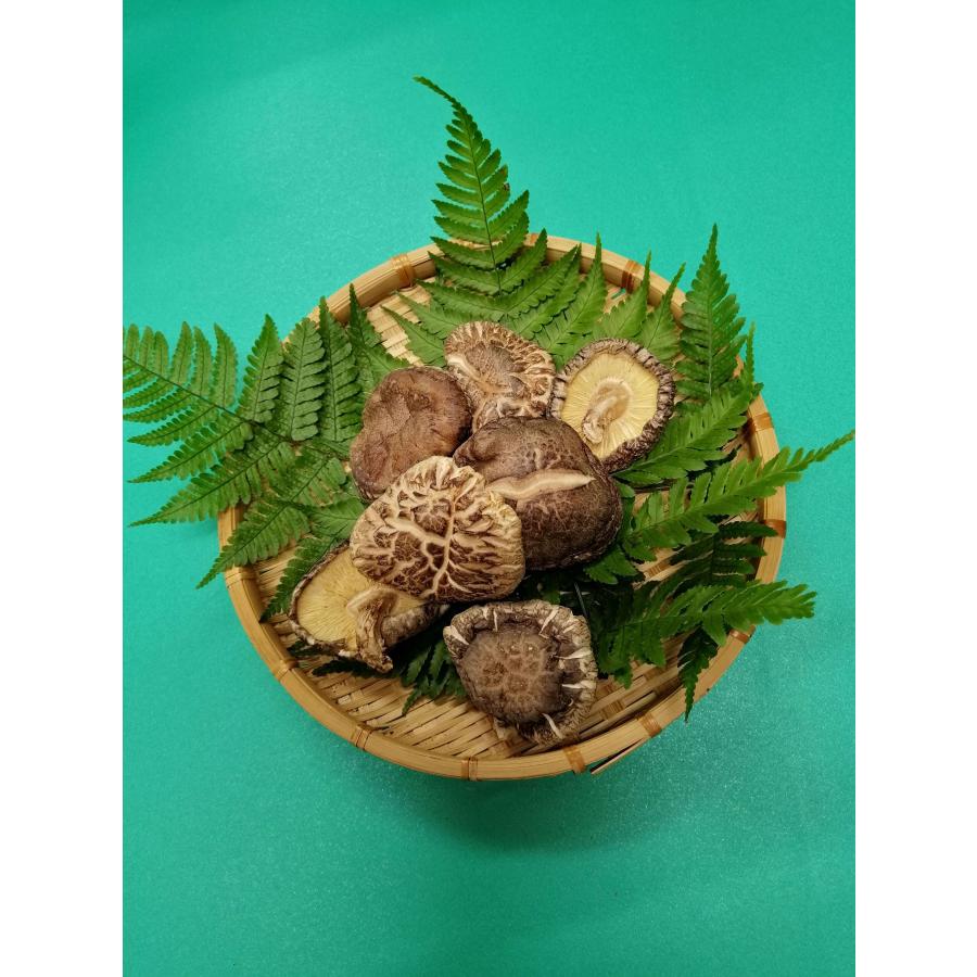 福岡県産 椎茸どんこ 500g入 : e-乾物 - 通販 - Yahoo!ショッピング
