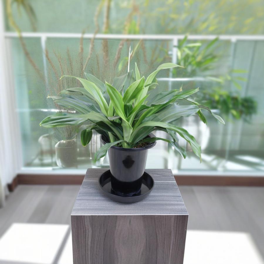 YOSA 青万葉 YOSA 青万葉 2箱セット(60包) - メルカリ