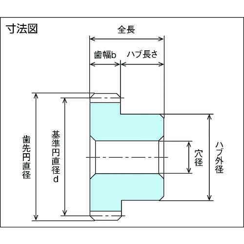 KG　S2.5BP48B-2515　(S2.5BP48B-2515)　青POM　ギヤシリーズ　歯数48　フードコンタクト　平歯車　形状B1