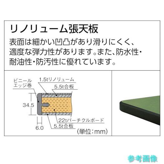 メーカー直送(北海道・沖縄・離島は除く) (TRUSCO) RDW-1200FL2 中荷重作業台(2000kg)DW型 1200X750XH740 2_4