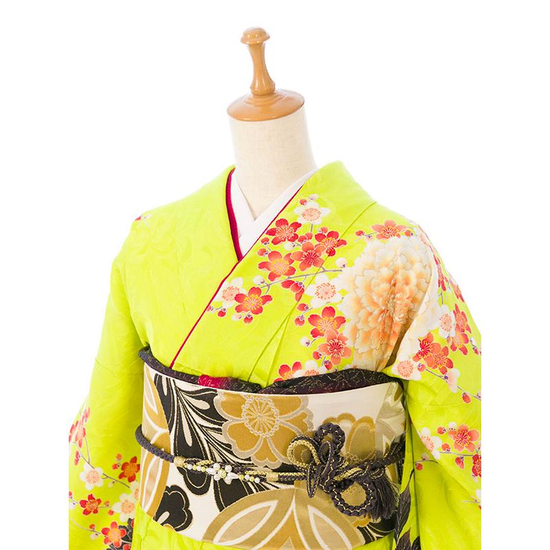 2〜12月】正絹振袖|着物レンタル|155〜165cm|振袖フルセット(緑 2〜12月】正絹振袖|着物レンタル|155〜165cm|振袖フルセット(緑