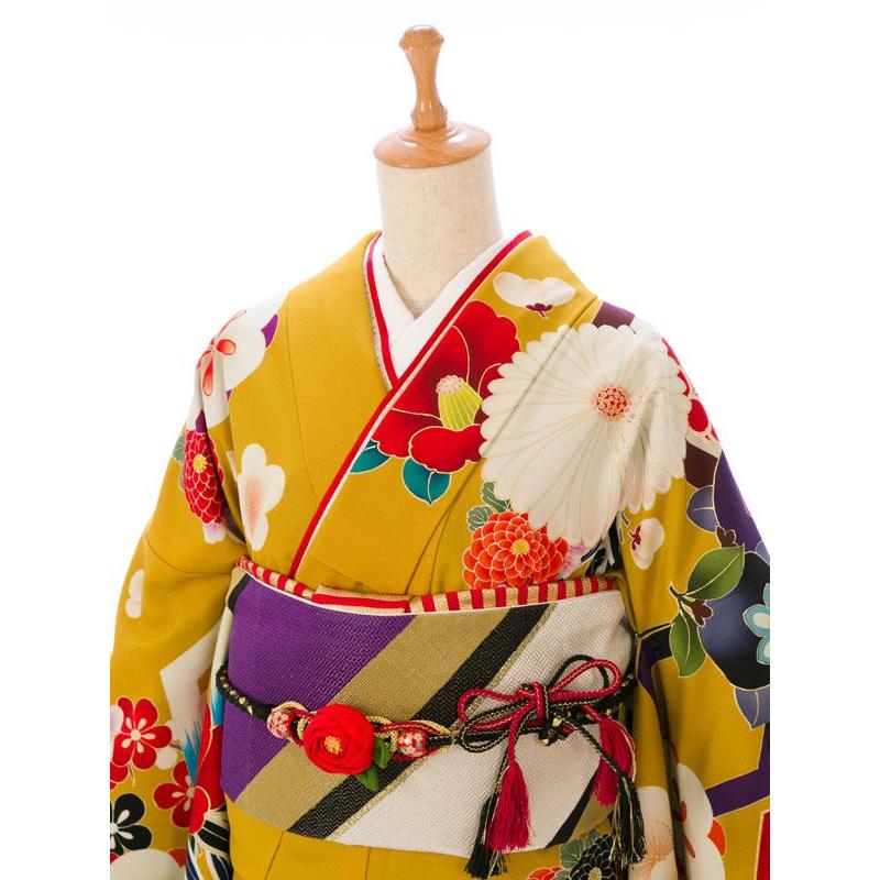 2〜12月】玉城ティナ 振袖|着物レンタル|九重|153〜163cm|振袖フル