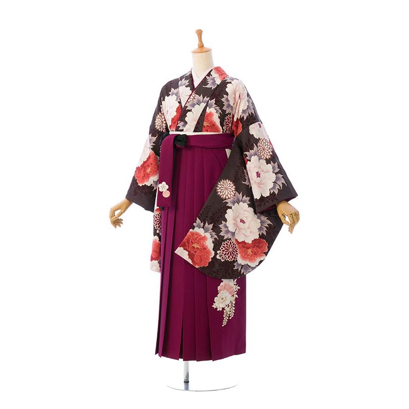 卒業式　袴セットW レンタル着物|卒業袴|153〜158cm|卒業式袴セットレンタル(からし系