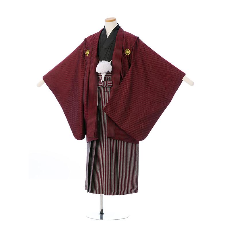 BV-049 卒業式 袴 レンタル 小学生 男の子 結婚式 十三参りなどにも