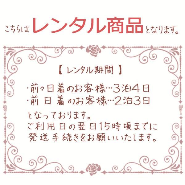 夏用 絽 訪問着 フルセット(ピンク系)|訪問着・付下げ 3L36 : e-きもの