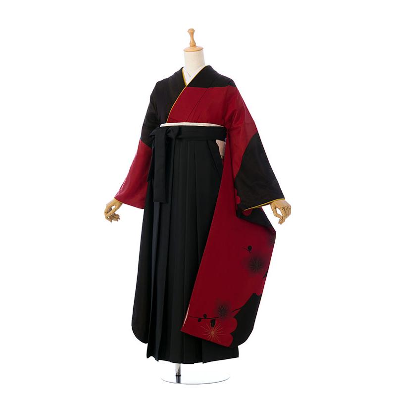 【卒業式・成人式】振袖 袴 セット 身丈166.5cm 裄66.8cm レンタル 卒業袴 158〜162cm 15〜19号 卒業式 袴セット 大学生 専門