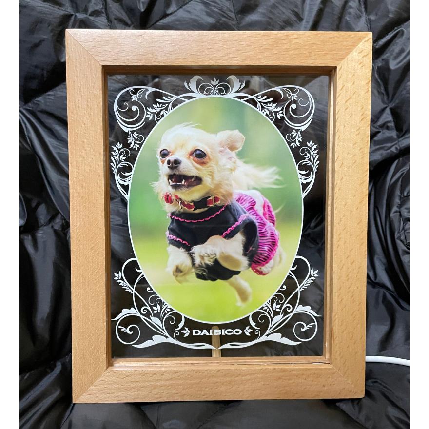 正規品 名入れ 光るメモリアルフォトフレーム メモリアルグッズ ペット仏具 ペットのお供え 遺影フォトフレーム 記念品 猫 犬 遺影 ビンテージエレメント 期間限定送料無料 Atinkaonline Com