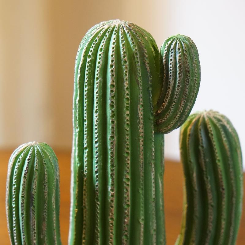 DULTON ダルトン CACTUSE サボテン 置物 おしゃれ オブジェ 置き物 おしゃれ｜e-kirakukan｜02