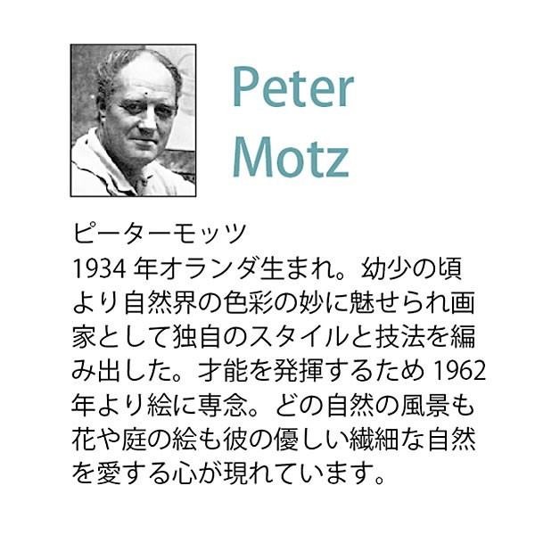 ピーター モッツ 絵画「オーシャン ビレッジ」PM-05010 インテリア 額入り 壁掛け おしゃれ｜e-kirakukan｜04