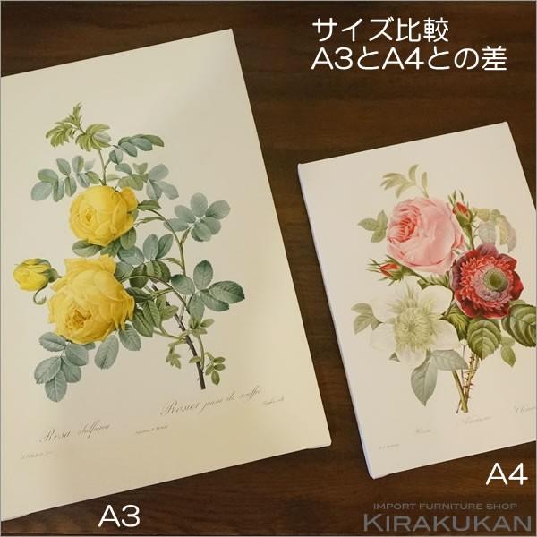 ルドゥーテ キャンバス絵額 美花選 A4サイズ バラ アネモネ テッセン ブーケ 複製画 フレーム 輸入雑貨 バラ雑貨 インテリア雑貨 おしゃれ 置物
