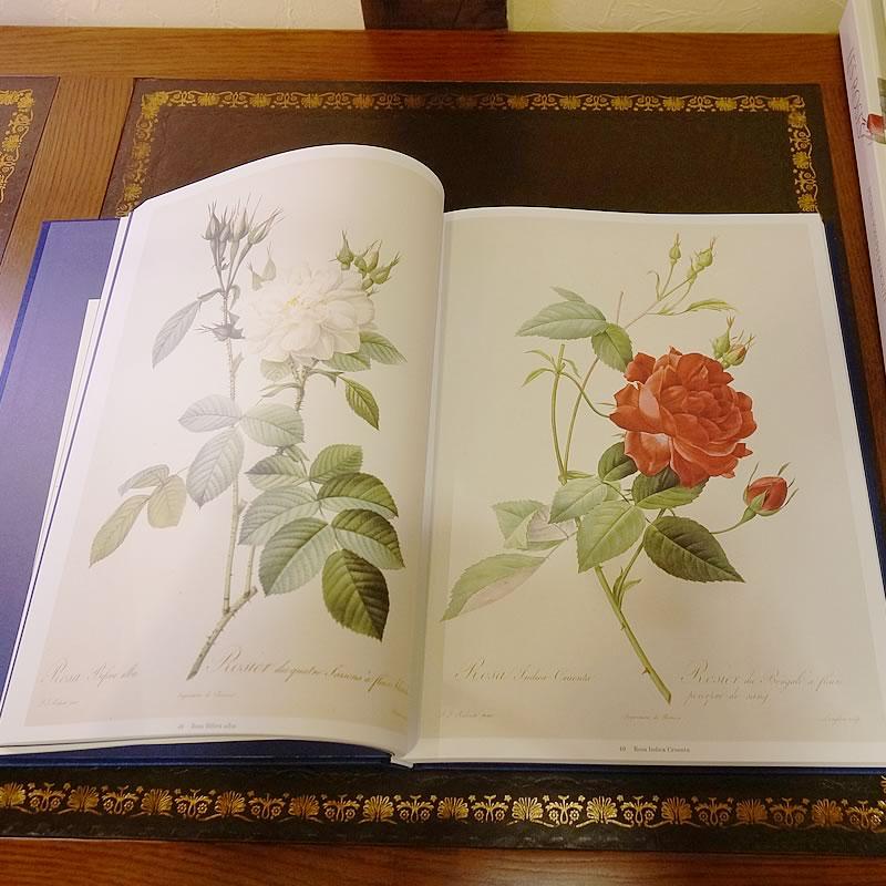 ルドゥーテ 本 「 Les Roses 」 バラ図譜 豪華本 Book 輸入雑貨