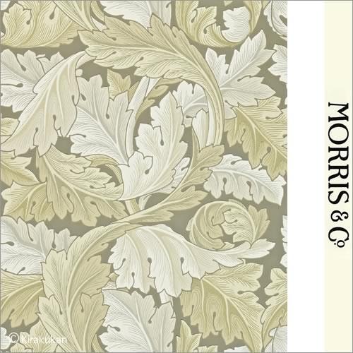 ウィリアムモリス 壁紙 アカンサス Acanthus darw212552 (10m/1巻) 輸入壁紙 ウォールペーパー イギリス製