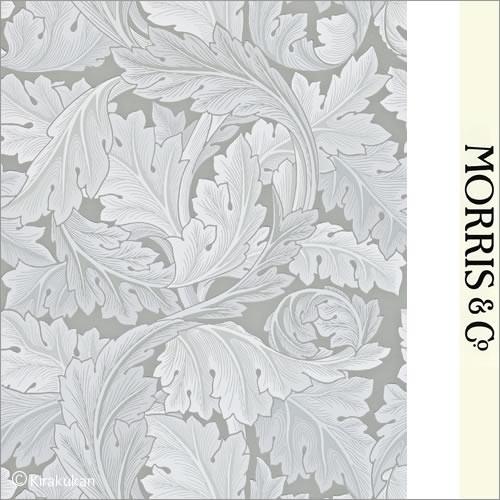 ウィリアムモリス Darw アカンサス Acanthus ウォールペーパー 輸入壁紙 イギリス製 イギリス製 壁紙 ウォールペーパー 壁紙 Weecreative Co Uk