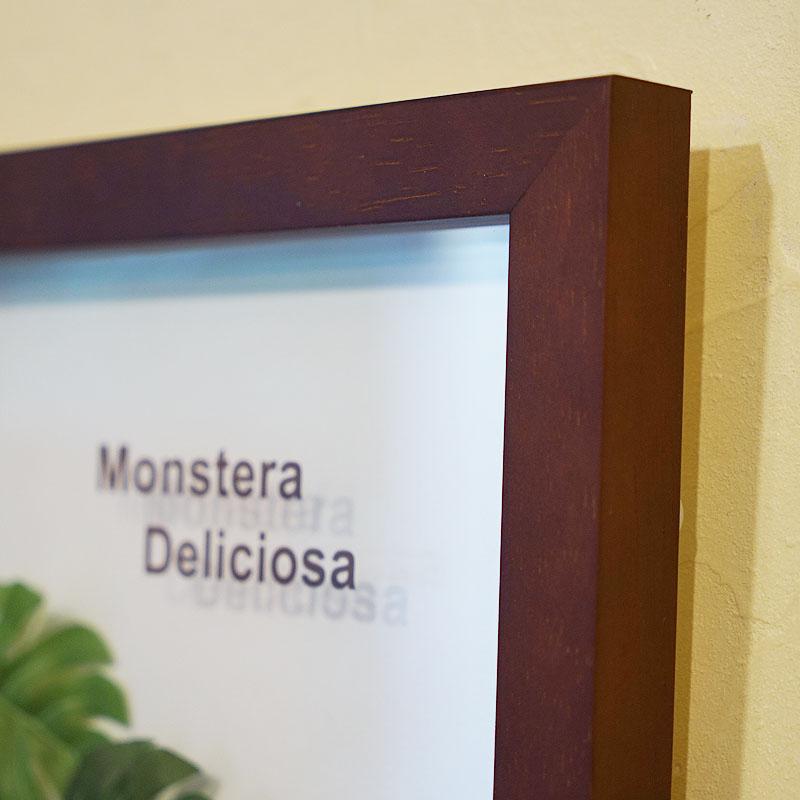 リーフパネル モンステラ3 額 MONSUTERA ブラウン フェイクグリーン