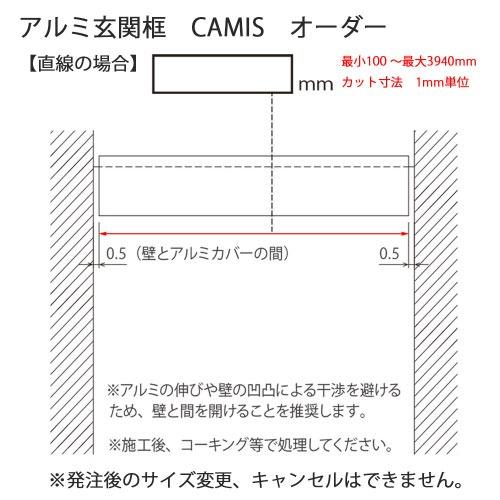 アルミ玄関框 CAMIS カミス 直線 オーダー H150 シルバー [CAM15TC-SL] 奥行5.5mm シンプルで洗練されたデザイン 森田アルミ メーカー直送の画像