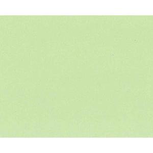 化粧合板 クトクカラー [G-2] 1820×910×2.5 ウグイス 車上渡し 返品不可 10枚売り 現場不可 クトク 法人事務所限定 メーカー直送 |  | 01