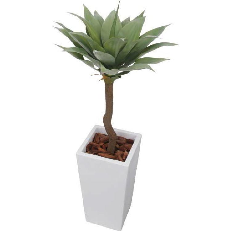 アガベツリー [GD-207] 1.2m タカショー Takashoメーカー直送 法人様限定 | 