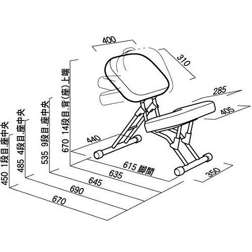 セブンポーズチェア ルネセイコウ [SPC-14] 椅子 メーカー直送 : e