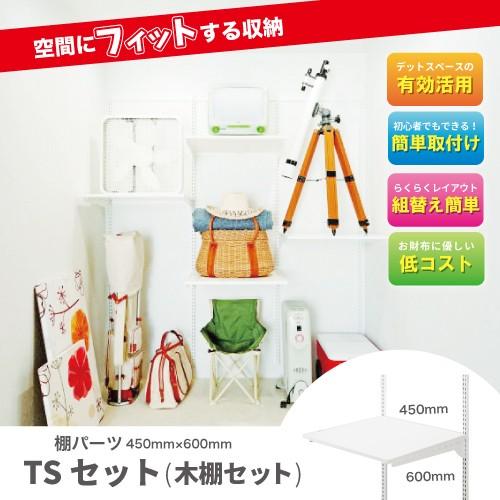 フィットラックエフ 棚パーツ TSセット 木棚セット  [TS4560EorG] サイズ  幅450×奥行600 ×高さ19mmor18mm 収納システム 優良配送 | 