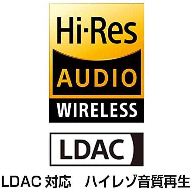 テクニクス カナル型 ノイズキャンセリング 完全ワイヤレスイヤホン Bluetooth マルチポイント対応 LDAC対応 ハイレゾ音質再生 カナル型 ノイズキャンセリング 完全ワイヤレスイヤホン Bluetooth マルチポイント対応 LDAC対応 ハイレゾ音質再生 独自の通話音声処理技術