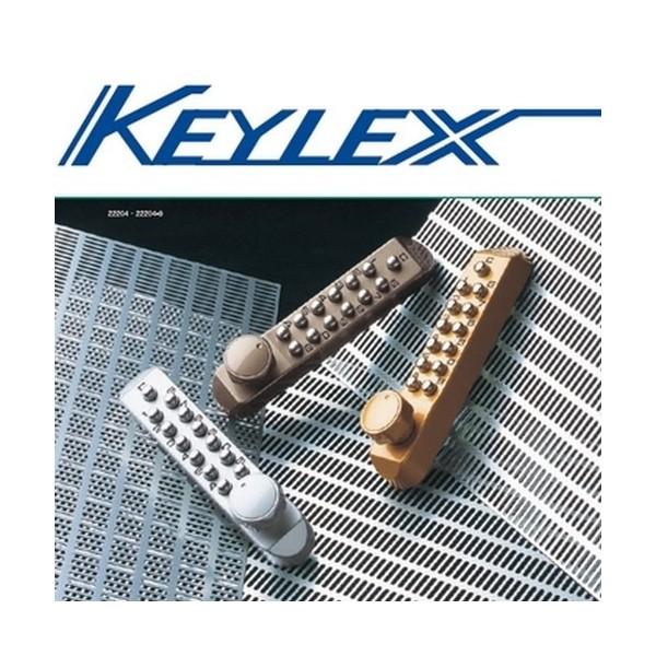 KEYLEX キーレックス500 22270 片面ボタン 暗証番号式 鍵穴なし 要加工 MIWA BH・DA / LA取替商品 KEYLEX500 22270｜e-komebiyori