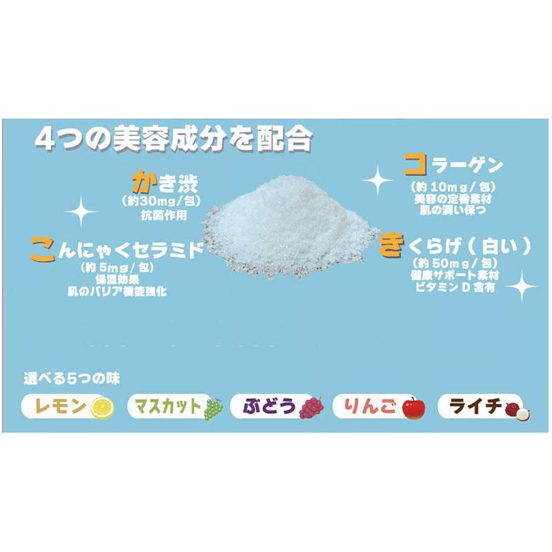 熱中症対策 塩ゼリー ゼネコンがつくった しおゼリー 10g×100包入
