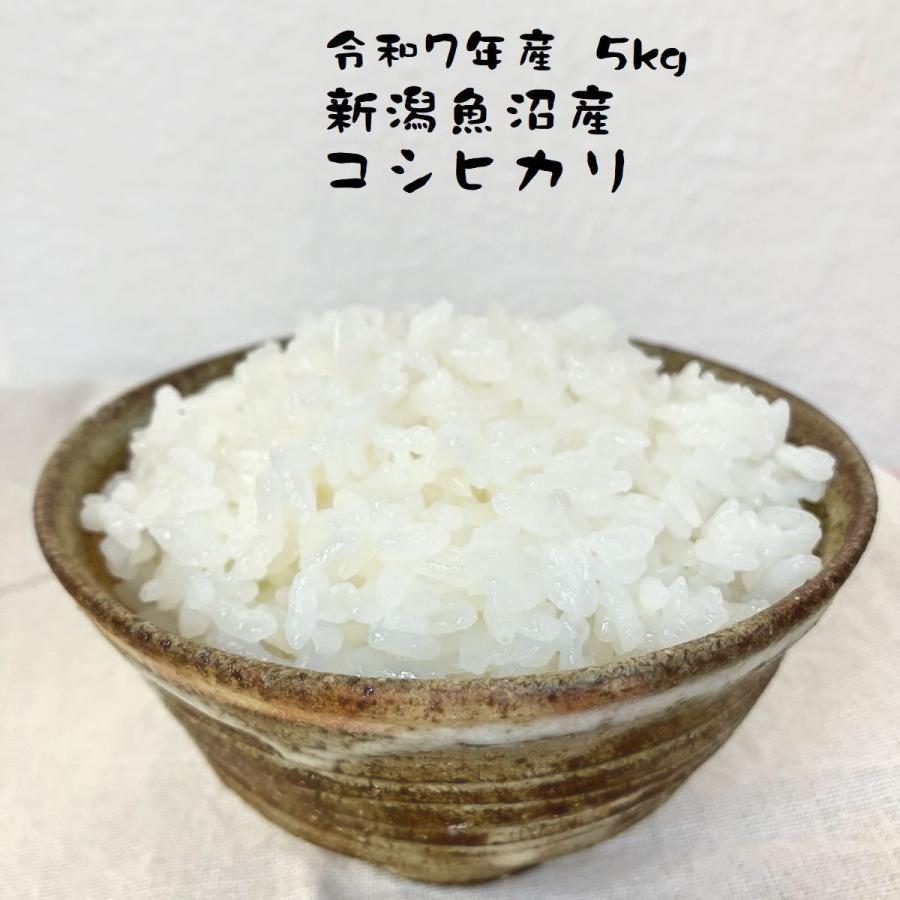コシヒカリ お米 魚沼産コシヒカリ 新潟県産 令和7年産 5kg 特a 減