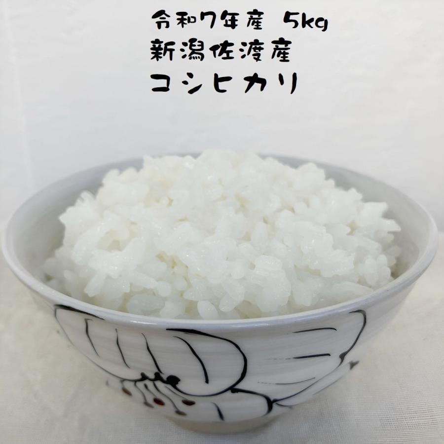 コシヒカリ お米コシヒカリ 新潟佐渡産 令和7年産 5kg 減農薬 