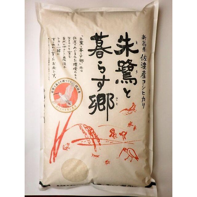 コシヒカリ お米コシヒカリ 新潟佐渡産 令和7年産 5kg 減農薬