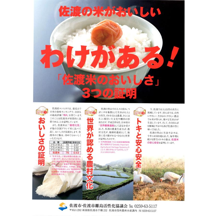 無農薬米 佐渡産１０キロ白米コシヒカリ コシヒカリ お米コシヒカリ 新潟佐渡産 令和7年産 5kg 減農薬