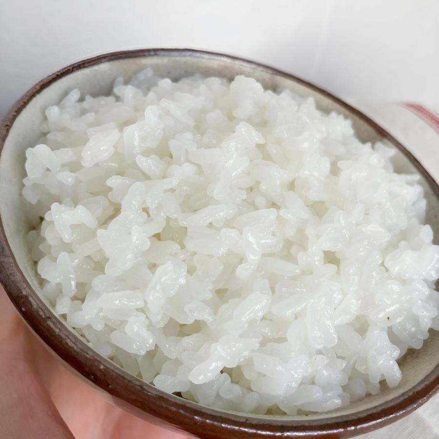 米 5kg 夢ごこち ネオニコチノイド系農薬不使用 減農薬 減化学肥料栽培 兵庫県産 令和7年産 | 夢ごこち | 01