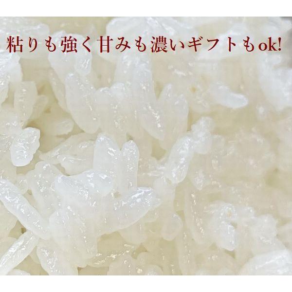 輝く高品質な 米 5kg お米 夢ごこち うるち米 精白米 兵庫県産 令和3年産 ご贈答 Materialworldblog Com