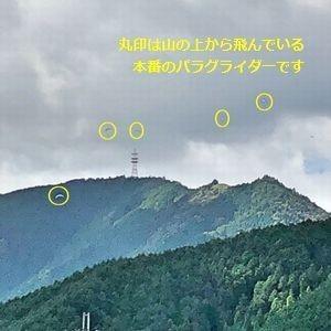 米 5kg 夢ごこち お米 兵庫県産 令和元年産 003 良いコシヒカリネット 通販 Yahoo ショッピング