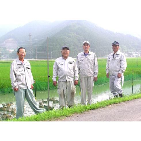 米 5kg ミルキークイーン ネオニコチノイド系農薬不使用 減農薬 減化学肥料栽培 兵庫県産 令和7年産 | ミルキークイーン | 15