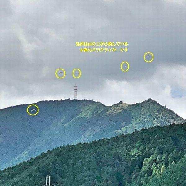 米 5kg ミルキークイーン ネオニコチノイド系農薬不使用 減農薬 減化学肥料栽培 兵庫県産 令和7年産 | ミルキークイーン | 16