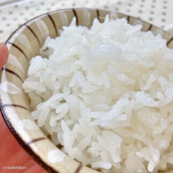 米 5kg 夢つくし お米 福岡県産 令和2年産 007 良いコシヒカリネット 通販 Yahoo ショッピング