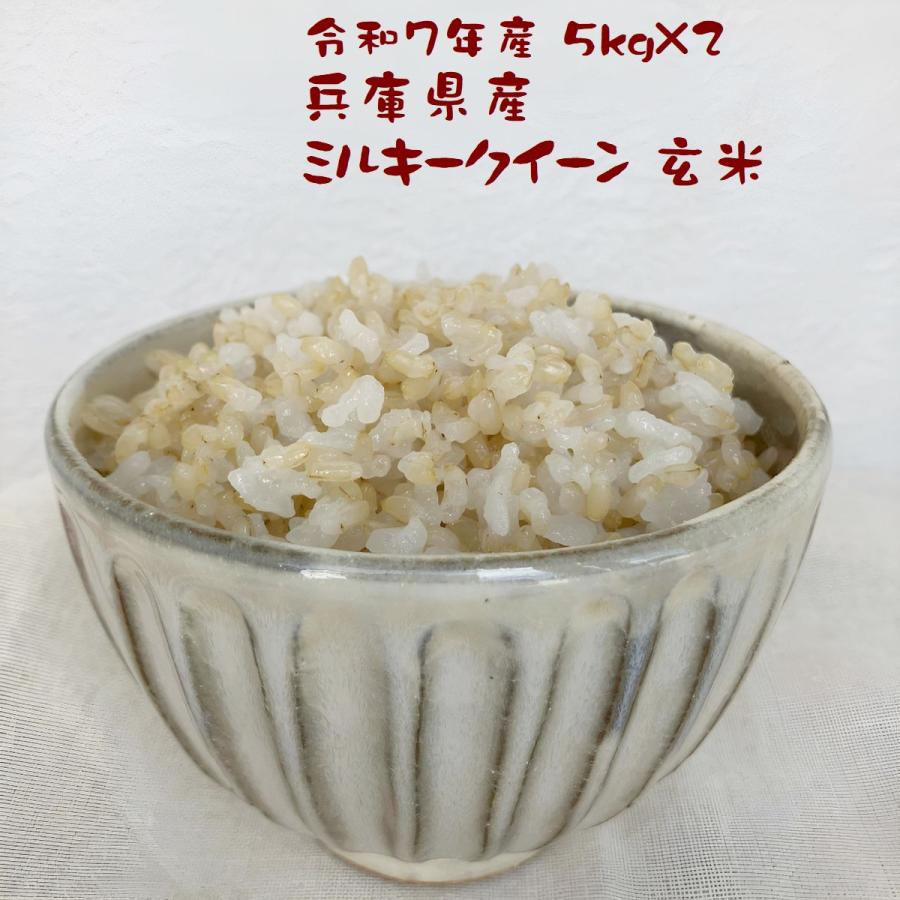 玄米 1ぶづき 10kg 玄米ダイエット 玄米健康