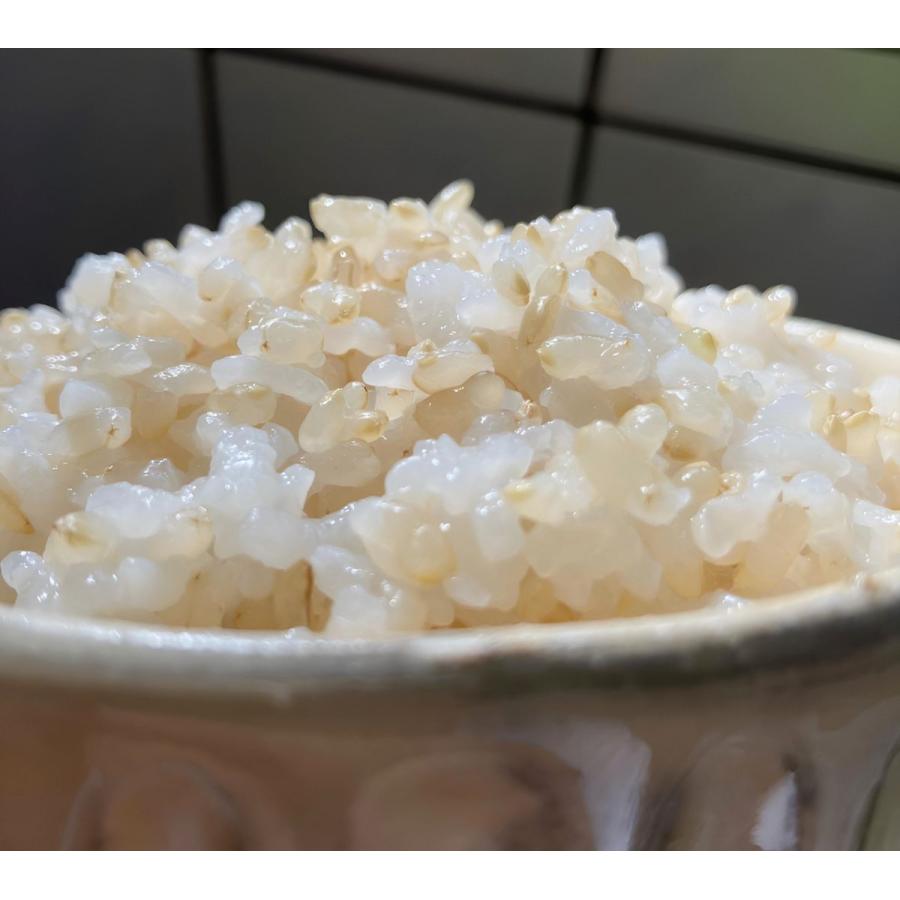 ミルキークイーン 玄米 10kg ミルキークイーン（5kg×2袋