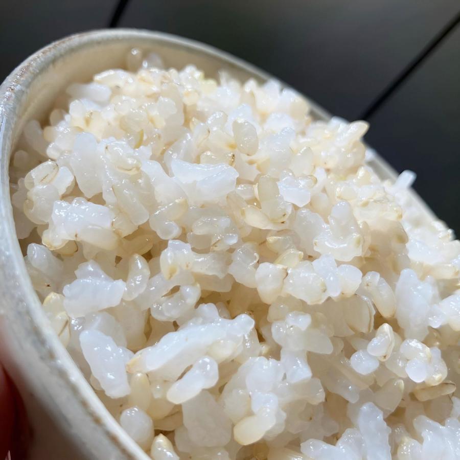 ミルキークイーン 玄米 10kg ミルキークイーン（5kg×2袋